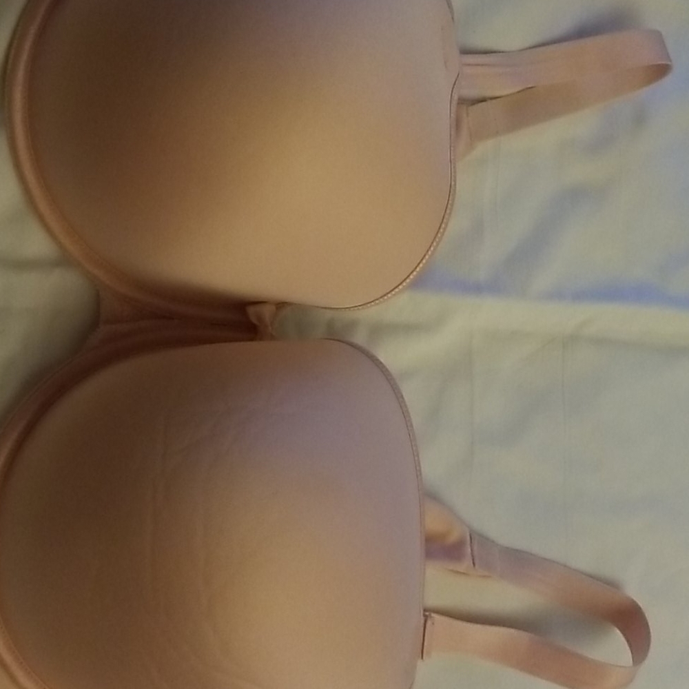 Pink Bra